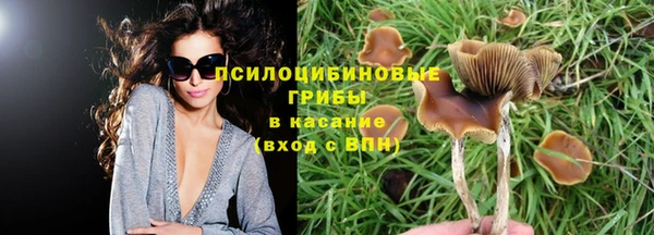 соль ск Алексин