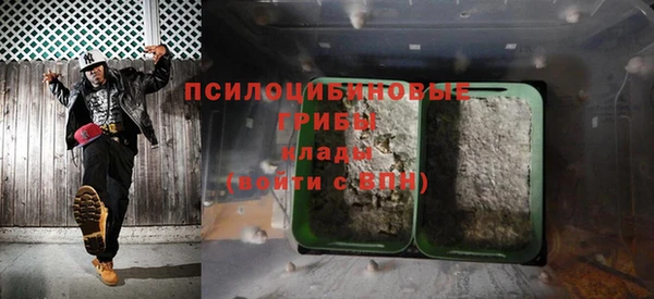 соль ск Алексин